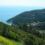 Zagare Mattinata